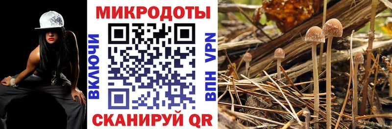 Купить закладки  Сатка  Псилоцибиновые грибы ЛСД 